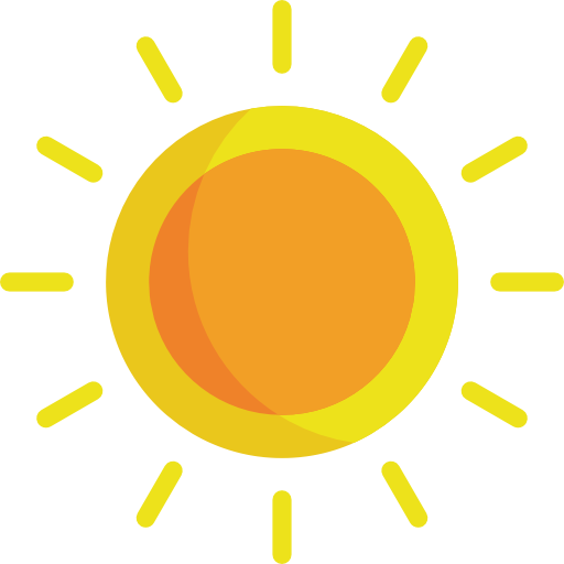 Sunny